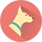 Advance Dog Training
