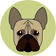 Dog Behavior Problems