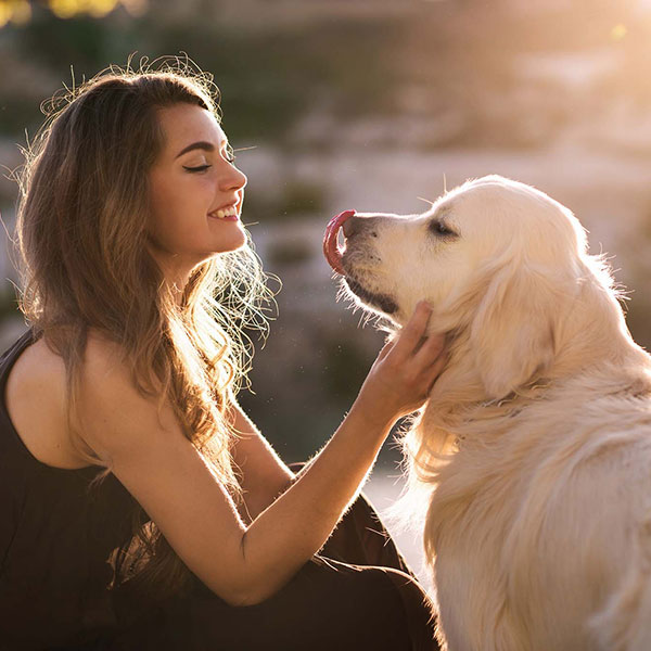 Licking Dog